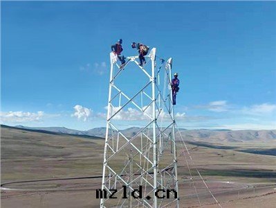 西(xī)藏阿里(lǐ)改則縣(xiàn)改則110kV輸变電(diàn)工程1标(biāo)段