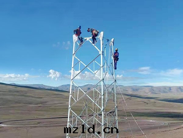 西(xī)藏阿里(lǐ)改則縣(xiàn)改則110kV輸变電(diàn)工程1标(biāo)段